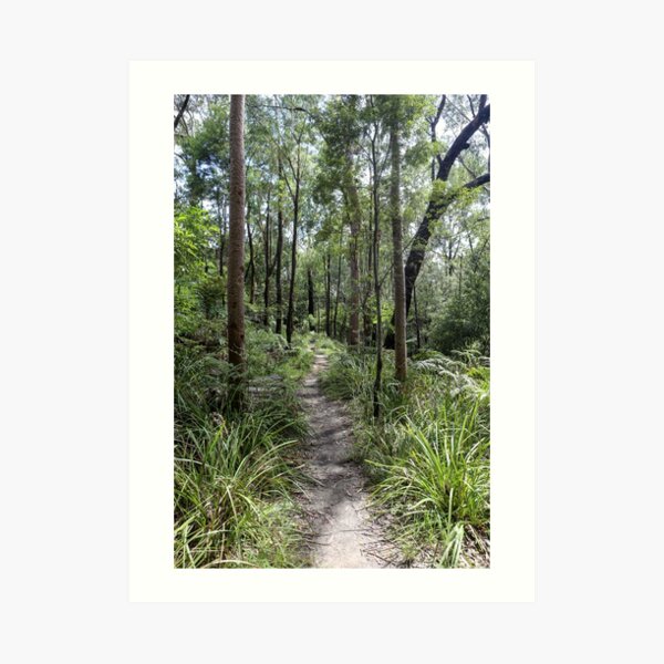 walking track Art Print