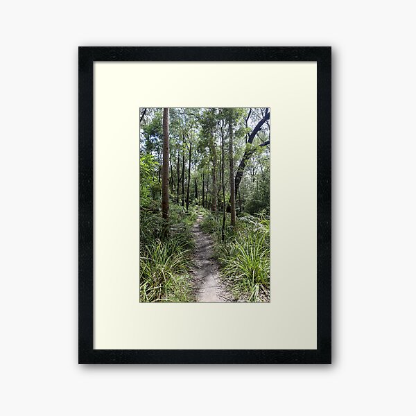 walking track Framed Art Print