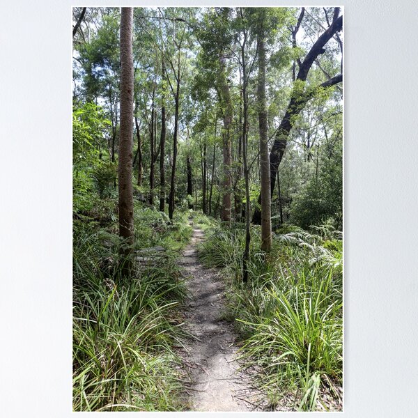 walking track Poster