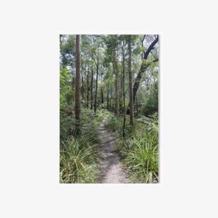walking track Art Board Print