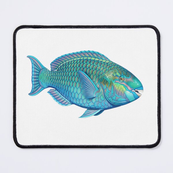 Item preview, Blue parrotfish designed and sold by 4rtistcDrift.
