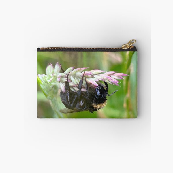 Item preview, Hanging in there designed and sold by Becky Bodell.