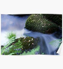 Flowing Poster