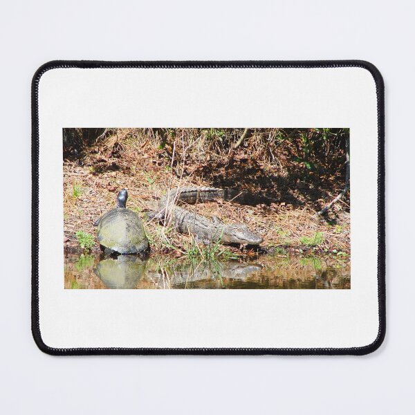 Item preview, Best of Friends Lounging in the Afternoon Florida Sun Hannah Park, Duval County, Florida Artistic Photograph designed and sold by Shannon Sears .