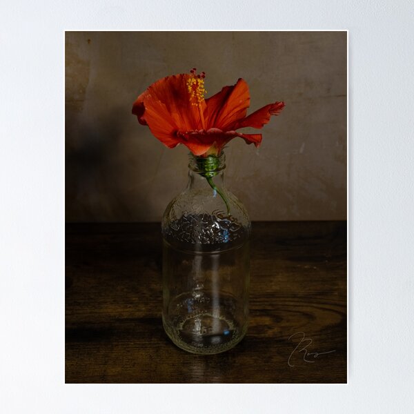 Item preview, Hibiscus in Glass  designed and sold by iamjrange.
