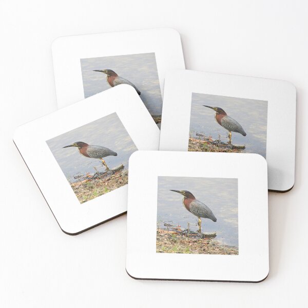 Item preview, The Wading Green Heron Hannah Park Duval County, Florida Artistic Photograph designed and sold by Shannon Sears .