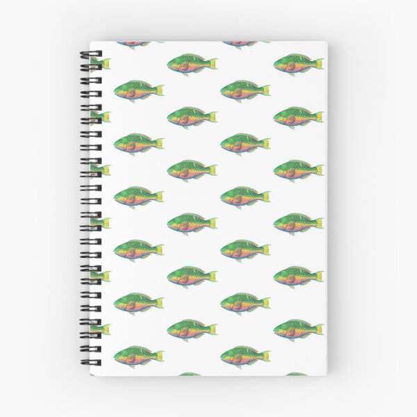 Item preview, Stoplight parrotfish designed and sold by 4rtistcDrift.