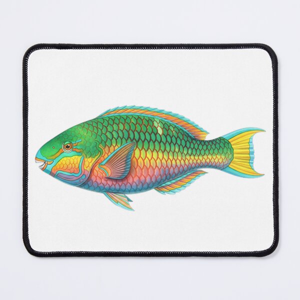 Item preview, Stoplight parrotfish designed and sold by 4rtistcDrift.