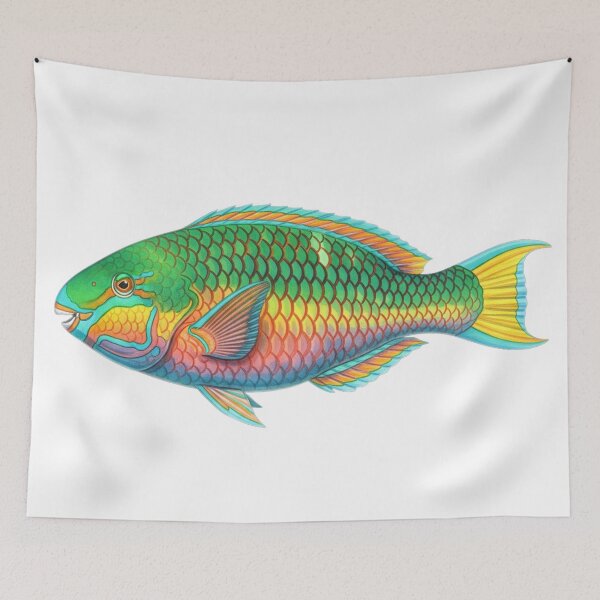 Item preview, Stoplight parrotfish designed and sold by 4rtistcDrift.