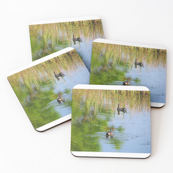 Item preview, Greylag Goose leisurely float in Hannah Parks Lake, Duval County, Florida artistic photograph designed and sold by Shannon Sears .