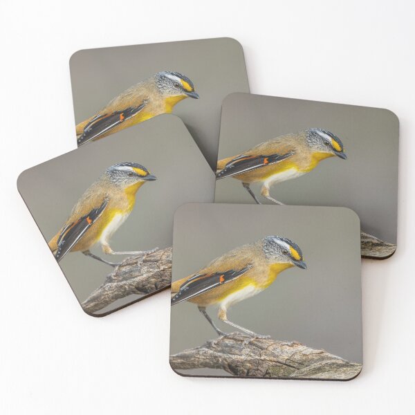 Item preview, Striated Pardalote designed and sold by Nick Vertsonis.