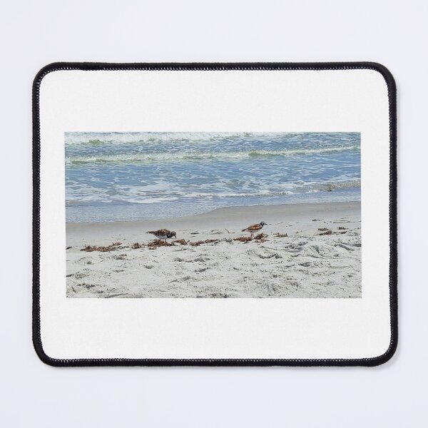 Item preview, Ruddy Turnstone foraging for lunch along the Ocean Shoreline, Florida, Artistic Photograph designed and sold by Shannon Sears .