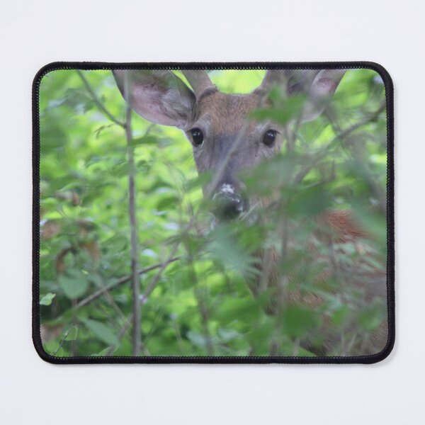 Item preview, young buck designed and sold by littlezoo317.