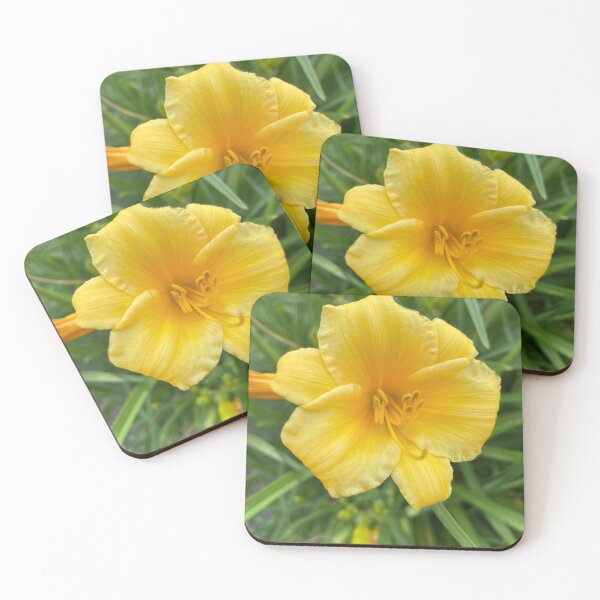 Item preview, Yellow Day Lily Photograph designed and sold by Shannon Greve.
