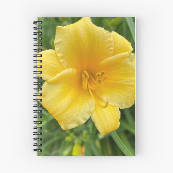 Item preview, Yellow Day Lily Photograph designed and sold by Shannon Greve.