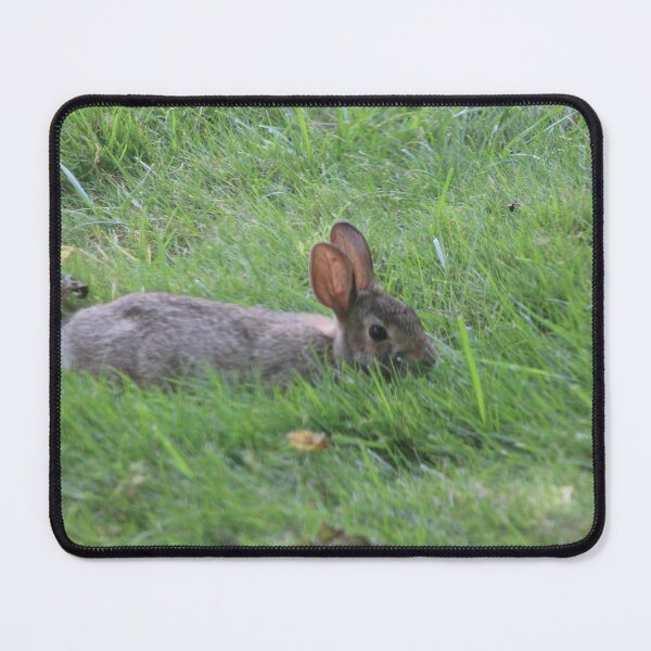 Item preview, little bunny designed and sold by littlezoo317.