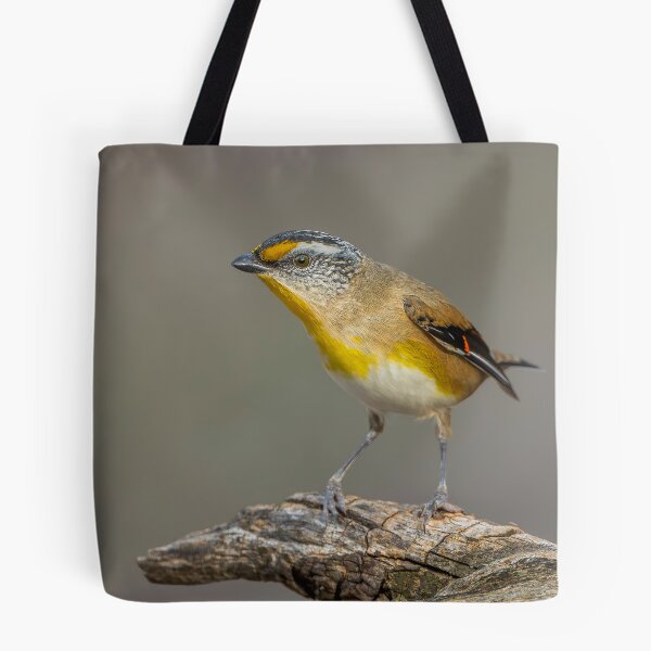 Item preview, Striated Pardalote designed and sold by Nick Vertsonis.