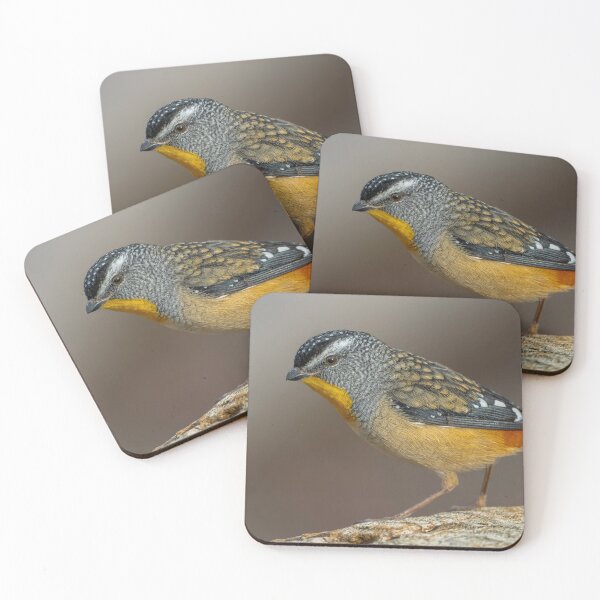 Item preview, Male Spotted Pardalote designed and sold by Nick Vertsonis.