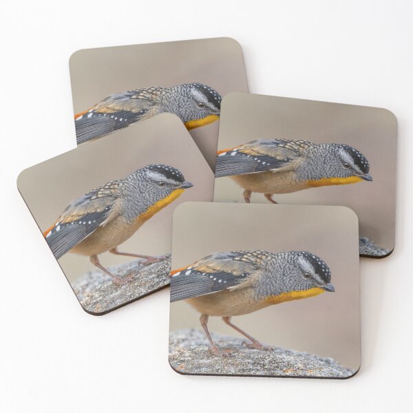 Item preview, Male Spotted Pardalote designed and sold by Nick Vertsonis.
