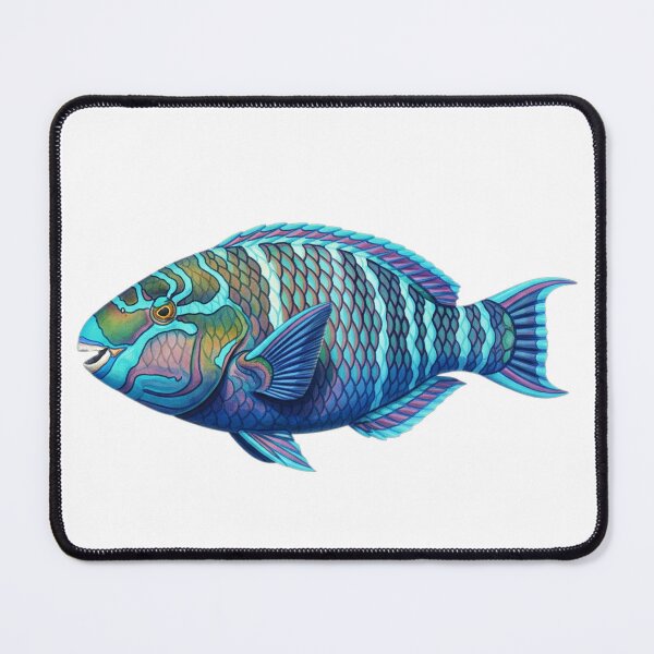 Item preview, Blue-barred parrotfish designed and sold by 4rtistcDrift.