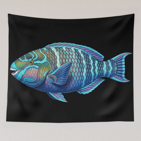 Item preview, Blue-barred parrotfish designed and sold by 4rtistcDrift.