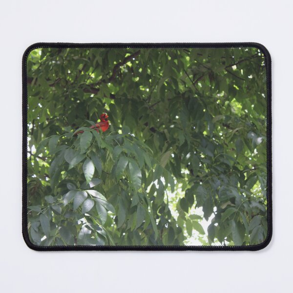 Item preview, find the cardinal designed and sold by littlezoo317.