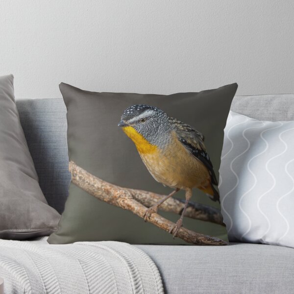 Item preview, Male Spotted Pardalote designed and sold by Nick Vertsonis.