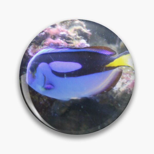 Item preview, blue tang designed and sold by littlezoo317.