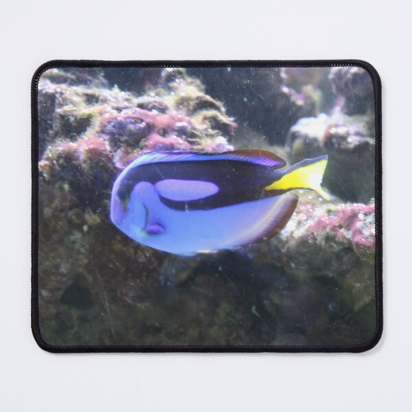 Item preview, blue tang designed and sold by littlezoo317.