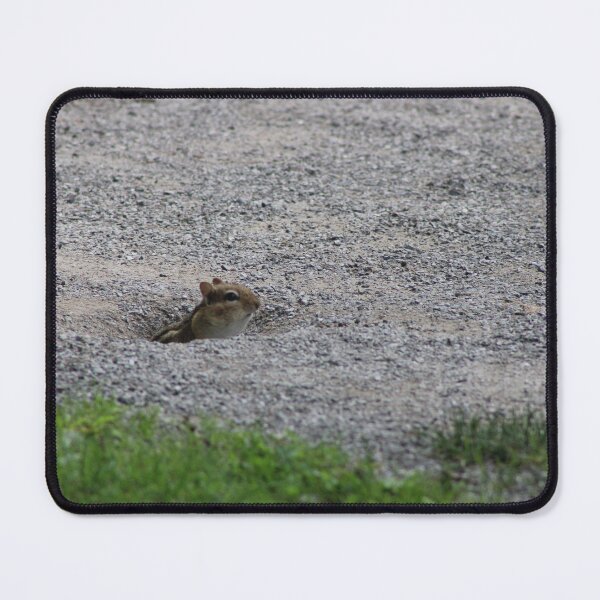 Item preview, chipmunk designed and sold by littlezoo317.
