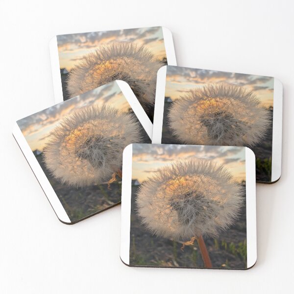 Item preview, Piste flower at dawn designed and sold by MiauCatWork.