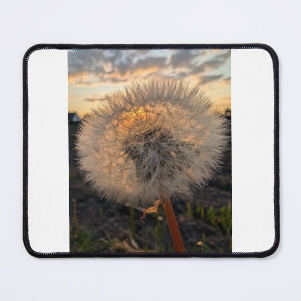 Item preview, Piste flower at dawn designed and sold by MiauCatWork.