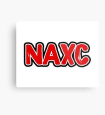 North Andover Cross Country Metal Print