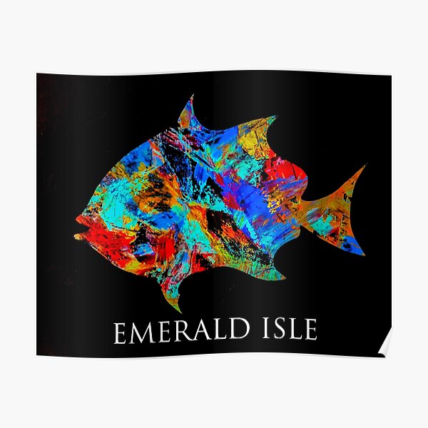 The Ugly Spadefish Poster