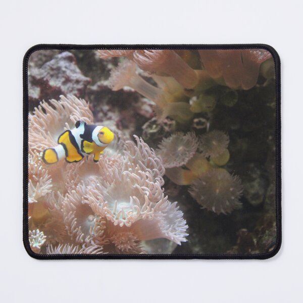 Item preview, clown fish designed and sold by littlezoo317.