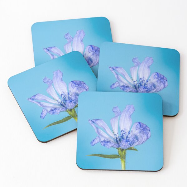 Item preview, Serene Beauty: Purple Flower on a Bright Blue Canvas designed and sold by PygmyTitan Photo.