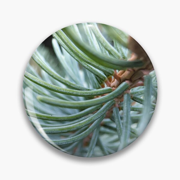 Item preview, Blue Spruce designed and sold by Emily Noyes.
