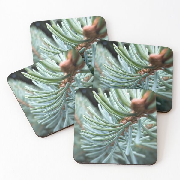 Item preview, Blue Spruce designed and sold by Emily Noyes.