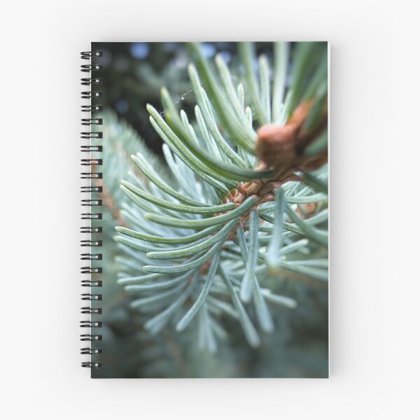 Item preview, Blue Spruce designed and sold by Emily Noyes.