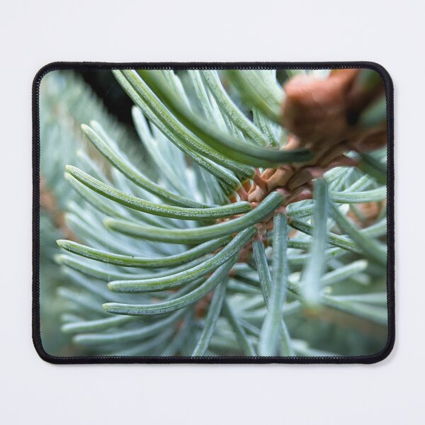 Item preview, Blue Spruce designed and sold by Emily Noyes.