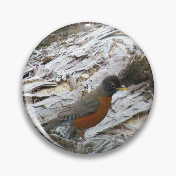 Item preview, Canadian Robin - Turdus migratorius designed and sold by lezvee.