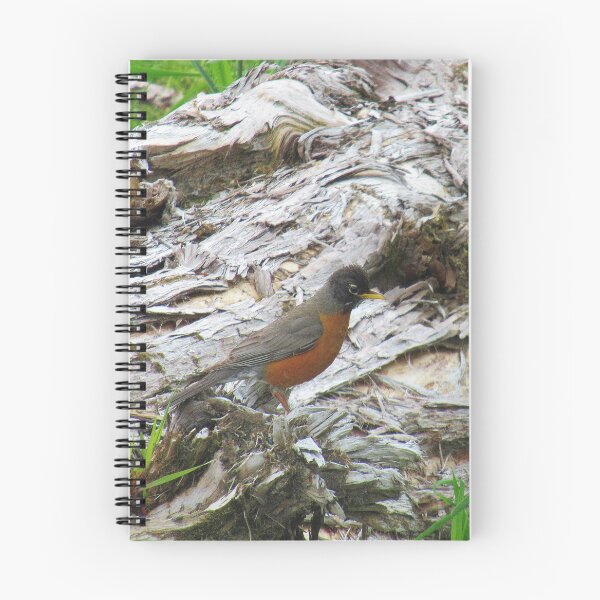 Item preview, Canadian Robin - Turdus migratorius designed and sold by lezvee.
