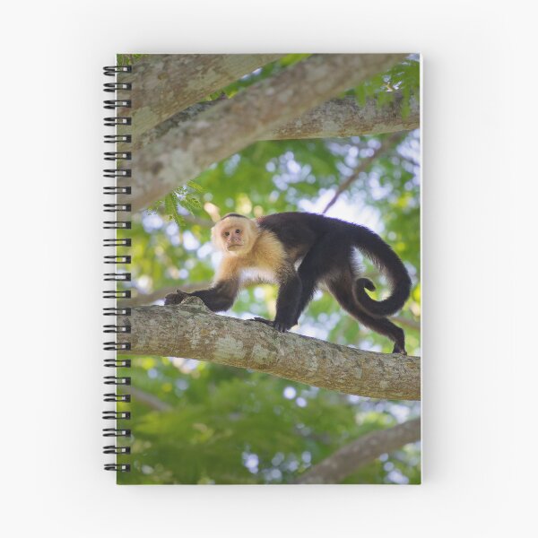 Item preview, White-faced Capuchin Costa Rica designed and sold by Clarkwurks Photography.