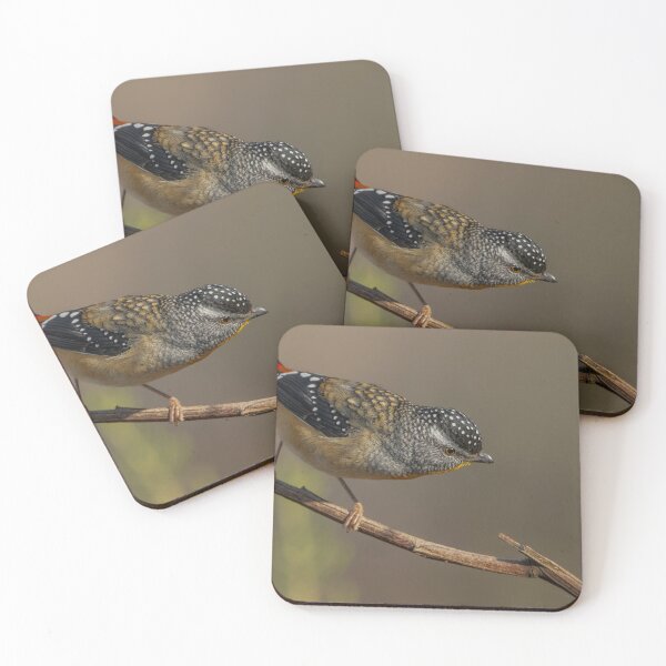 Item preview, Male Spotted Pardalote designed and sold by Nick Vertsonis.