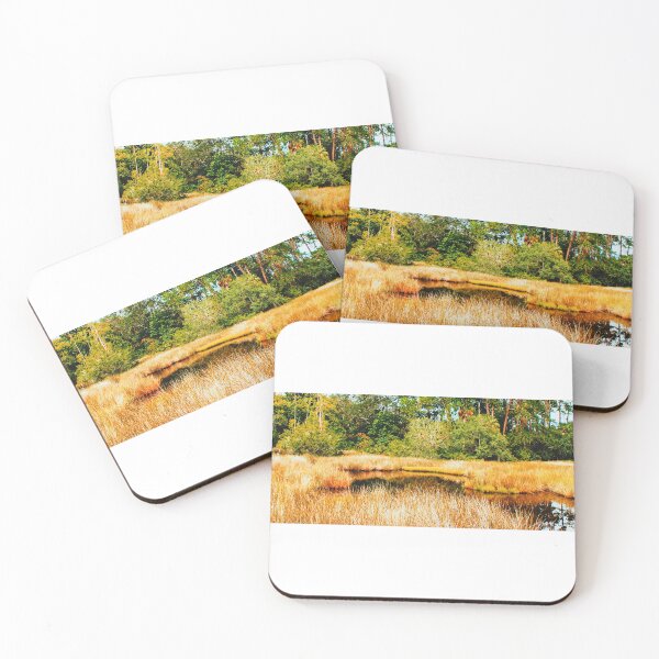 Item preview, An Oasis Within the Golden Reeds Jennings State Forest, Clay County, Florida Artistic Photograph designed and sold by Shannon Sears .