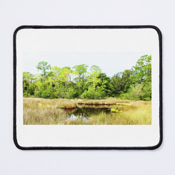 Item preview, Within the Pines and Goldens Greens of Grass lies a Pool of Tranquil Water Jennings State Forest, Clay County, Florida Artistic Photograph designed and sold by Shannon Sears .
