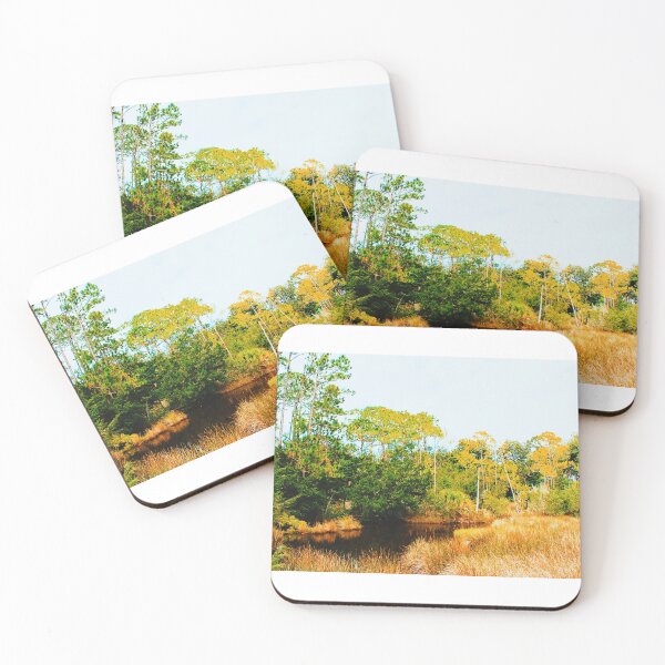 Item preview, A Blissful Waterway Hidden Within the Forest Golden Reeds and Trees Jennings State Forest, Clay County, Florida Artistic Photograph designed and sold by Shannon Sears .