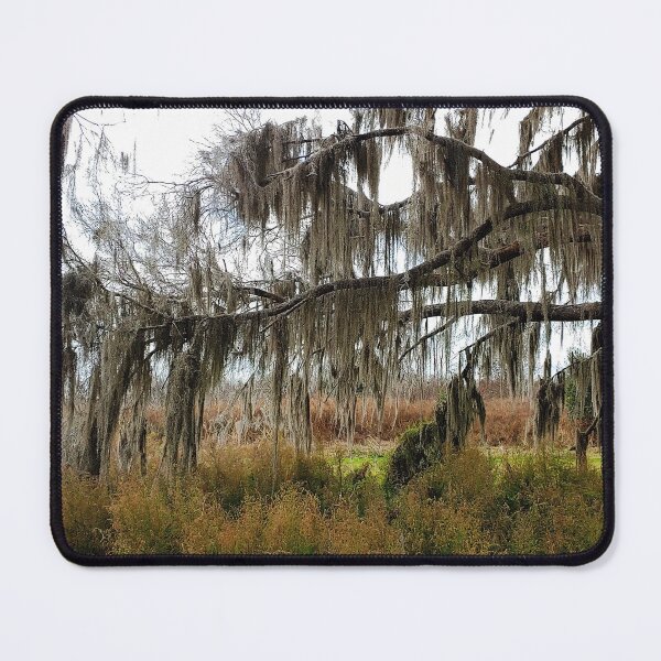 Item preview, Spanish Moss Draped Limb Paynes Prairie Artistic Photograph designed and sold by Shannon Sears .