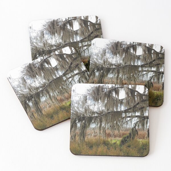 Item preview, Spanish Moss Draped Limb Paynes Prairie Artistic Photograph designed and sold by Shannon Sears .