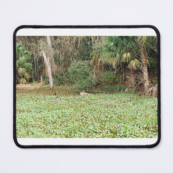 Item preview, A Sea of Lily Pads Paynes Prairie Artistic Photograph designed and sold by Shannon Sears .